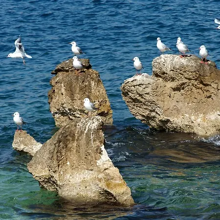 White Luxury Sarandë